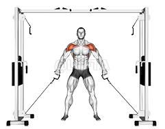 Front Shoulder Raise demonstration