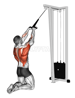 Cable High Row demonstration