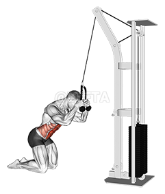 Cable Kneeling Crunch