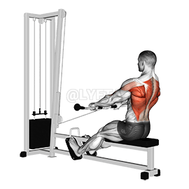 Low Seated Row demonstration