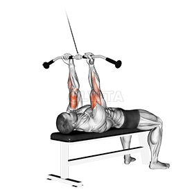 Lying Close-grip Curl demonstration