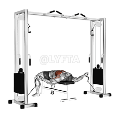 Lying Fly demonstration