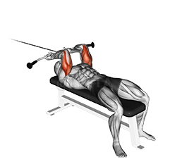 Lying Triceps Extension demonstration