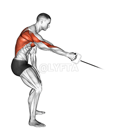 Cable One Arm Bent over Row demonstration