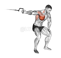 Cable One Arm Lateral Bent-over demonstration