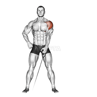 Cable One Arm Lateral Raise demonstration