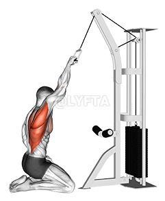Cable One Arm Straight Back High Row demonstration