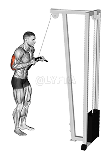 Cable Pushdown