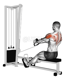 Cable Rear Delt Row demonstration