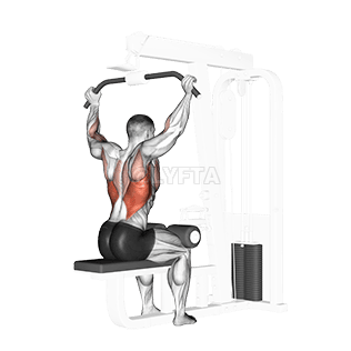 Rear Pulldown demonstration