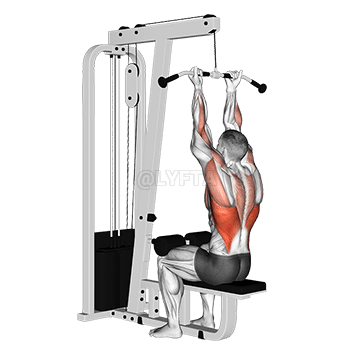 Cable Reverse-grip Straight Back Seated High Row demonstration