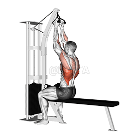 Cable Seated High Row demonstration
