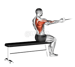 Cable Seated One Arm Alternate Row demonstration