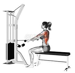 Cable Seated Supine-grip Row demonstration