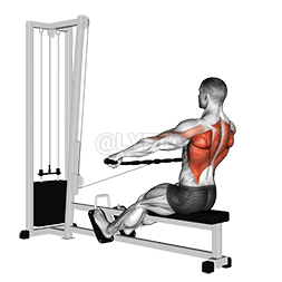 Cable Seated Wide-grip Row demonstration