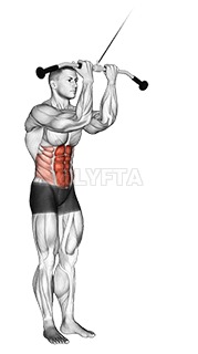 Cable Standing Crunch demonstration