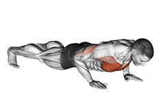 Flexiones de reloj demonstration