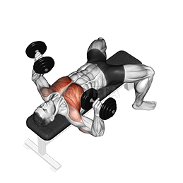 Strength Level Calculator for Dumbbell Bench Press