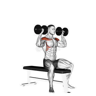 Image of Bench Seated Press