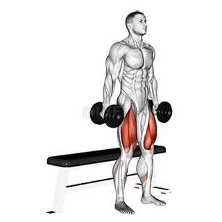 Bench Squat demonstration