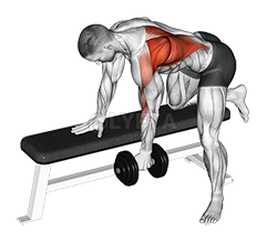 Image of One Arm Bent-over Row