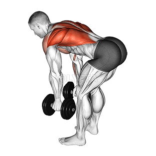 Image of Bent Over Row