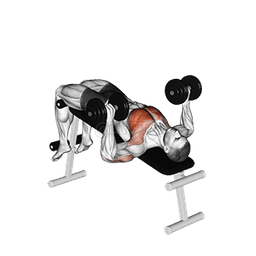 Dumbbell Decline Bench Press