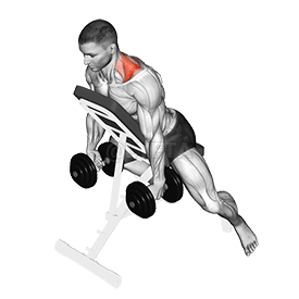 Dumbbell Decline Shrug demonstration