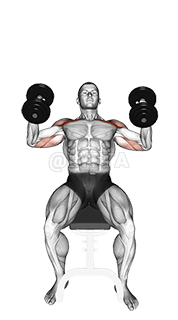 Dumbbell Incline Hammer Press demonstration