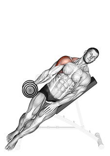 Dumbbell Incline One Arm Lateral Raise demonstration