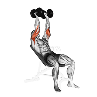 Incline Triceps Extension demonstration