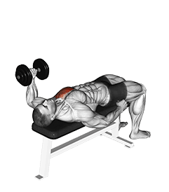 Dumbbell Lying One Arm Press demonstration