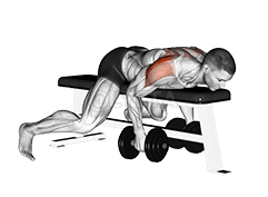 Dumbbell Lying Rear Lateral Raise demonstration