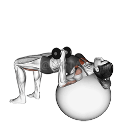 Dumbbell One Arm Press  demonstration