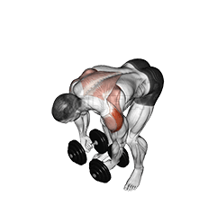 Rear Lateral Raise demonstration
