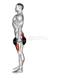 Rear Lunge demonstration