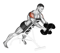 Image of Dumbbell Reverse Fly