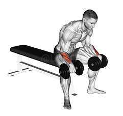 Dumbbell Reverse Wrist Curl