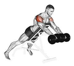 Thumbnail for the video of exercise: Dumbbell Rotation Reverse Fly