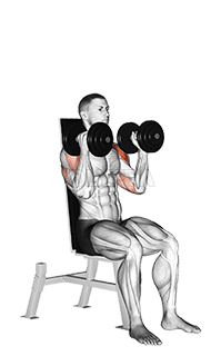 Dumbbell Seated Alternate Press demonstration