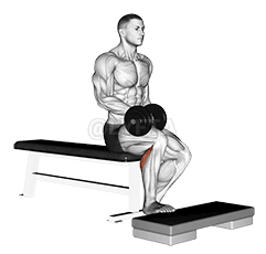Dumbbell Seated One Leg Calf Raise demonstration