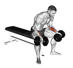 Seated Palms Up Wrist Curl demonstration