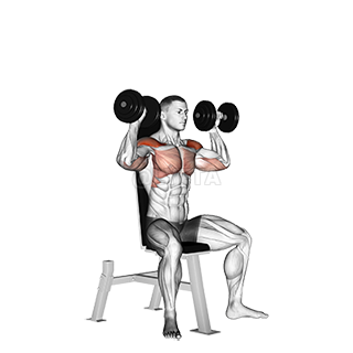 Seated Shoulder Press