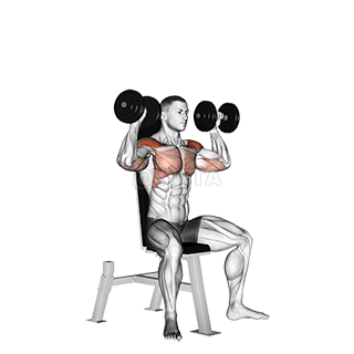 Image of Seated Shoulder Press