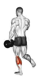 Dumbbell Single Leg Calf Raise demonstration