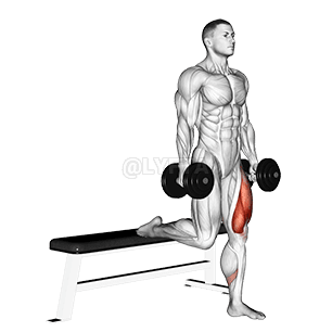 Single Leg Split Squat demonstration