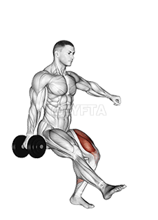 Dumbbell Single Leg Squat demonstration