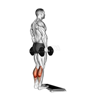 Standing Calf Raise