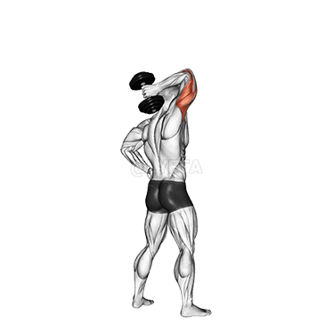 Standing One Arm Extension demonstration