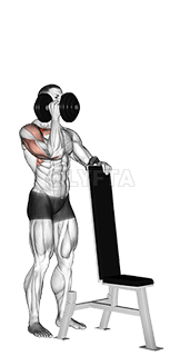 Dumbbell Standing One Arm Palm In Press demonstration